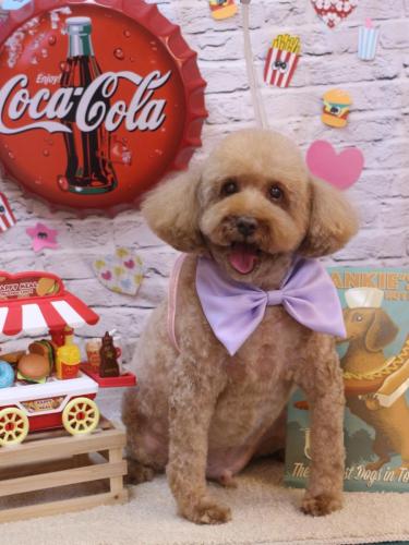 20230927ケンくん